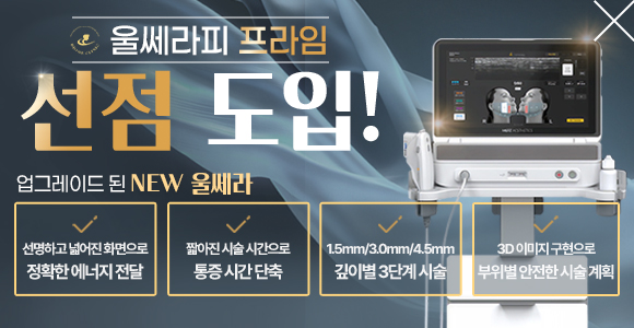 울쎄라피 프라임도입