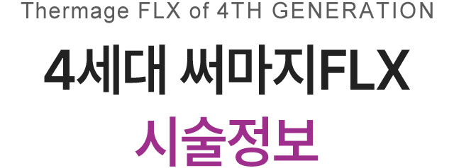 4세대 써마지FLX 시술정보