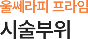 울쎄라피 프라임 시술부위