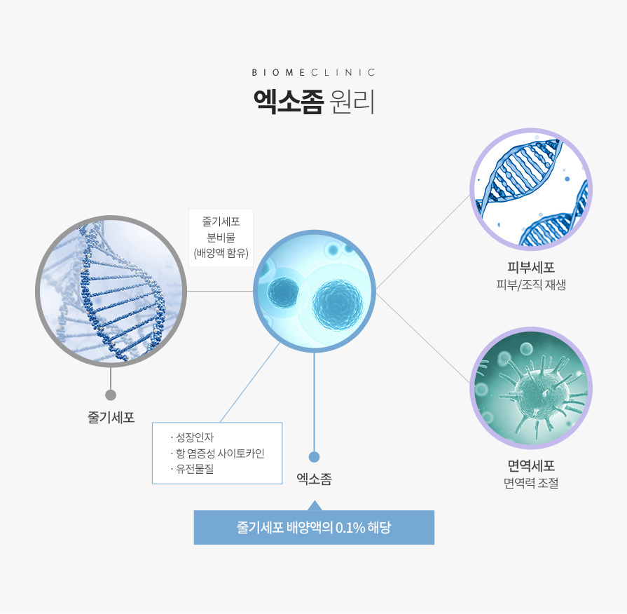 엑소좀