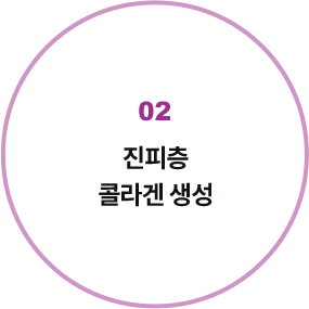 진피층 콜라겐 생성