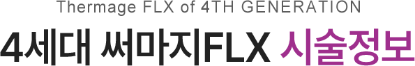4세대 써마지FLX 시술정보